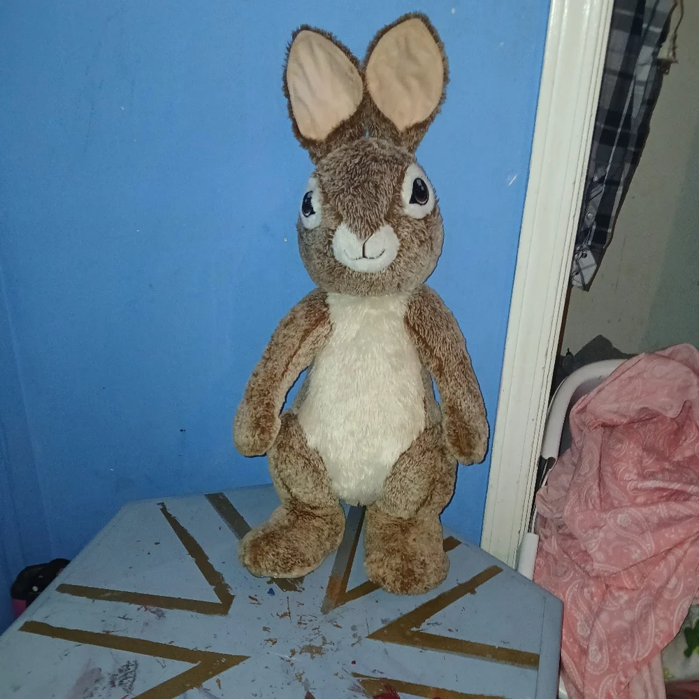 Peter Rabbit - Picture 2 of 3